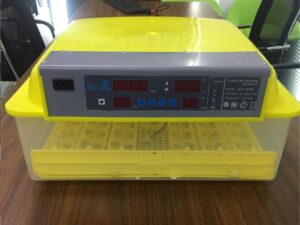 FRD-48 Incubator & Hatcher