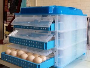 FRD-192 Incubator & Hatcher