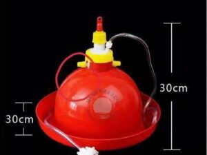 Automatic Bell Drinker For Elder Chicks