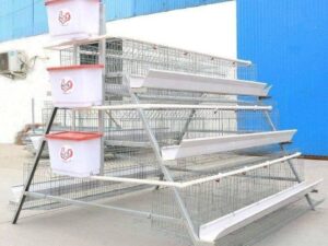 120 Bird Egg Laying Cage