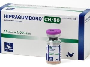 GUMBORO POULTRY VACCINE 1000ds