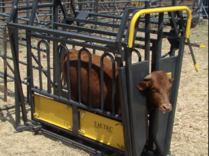 Neck and Body Clamp – Sliding Gate