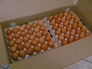 Freshly Laid Table Dirty Eggs